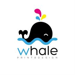 Whale, Sant'Antimo orari di apertura