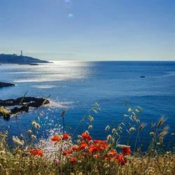 Meraviglie del Salento B&B, Porto Cesareo orari di apertura