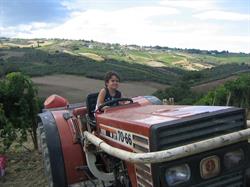 Coste Di Brenta, Lanciano orari di apertura