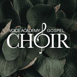 Voice Academy, Latina orari di apertura