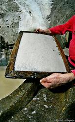 Museo Della Carta, Amalfi orari di apertura