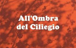 B&B All'Ombra del Ciliegio, Bolzano Novarese orari di apertura