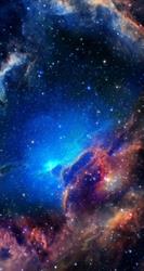 Webstellar, Ancona orari di apertura