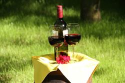 Podere Fichereto, Scandicci orari di apertura