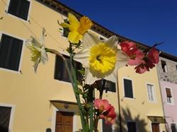 La Casa Dei Papaveri, Lucca orari di apertura