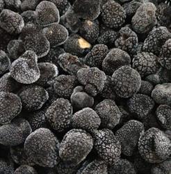 Voglia di Tartufo, Acqualagna orari di apertura