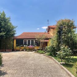 Home Sweet Home, Gallicano nel Lazio orari di apertura