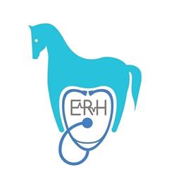 Equivet Roma Hospital, orari di apertura