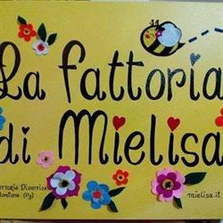 Fattoria Didattica Mielisa, Montone orari di apertura