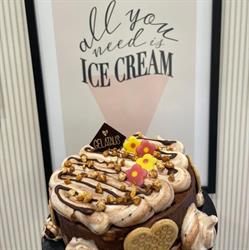 GELATAUS SOCIETA' COOPERATIVA, Roma orari di apertura