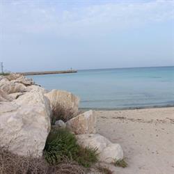 Elios Vacanze, San Vito Lo Capo orari di apertura