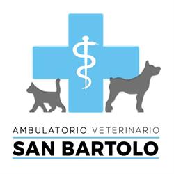 Ambulatorio Veterinario San Bartolo, Firenze orari di apertura