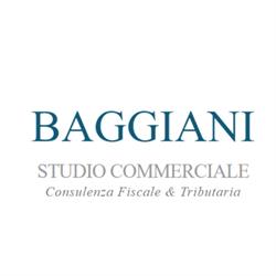 Studio Commerciale Baggiani, Pisa orari di apertura