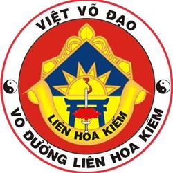 Viet Vo Dao, Roncadelle orari di apertura