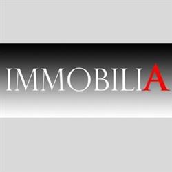 Immobilia Vimercate, orari di apertura