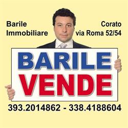 BARILE IMMOBILIARE, Corato orari di apertura