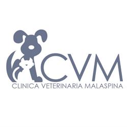 Clinica Veterinaria Malaspina, Massa orari di apertura