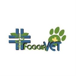 Ambulatorio Veterinario FoggiaVet, orari di apertura