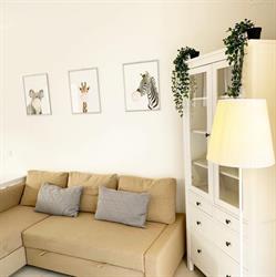 Casa Baroncini, Cervia orari di apertura