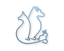 Clinica Veterinaria Meda, orari di apertura