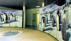 Museo nazionale dell'Antartide Felice Ippolito, Trieste orari di apertura
