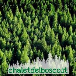 Chalet Del Bosco, Valdisotto orari di apertura