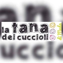 ASILO NIDO - La Tana dei cuccioli di Meda, orari di apertura