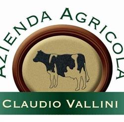 Agriturismo Vallini Claudio, Venegono Inferiore orari di apertura