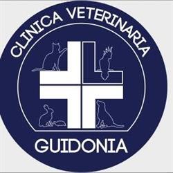 CLINICA VETERINARIA GUIDONIA, Guidonia orari di apertura