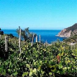 Agriturismo Le Grigue, Moneglia orari di apertura