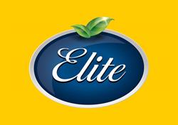 Elite Surgelati, Avezzano orari di apertura