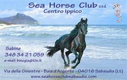 Sea Horse Club, Sabaudia orari di apertura