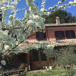 Casale Hortensiae, Orte orari di apertura