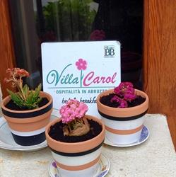 VILLA CAROL, Tollo orari di apertura