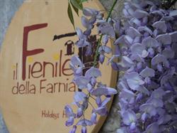 Il Fienile della Farnia - casa vacanze, Pistoia orari di apertura