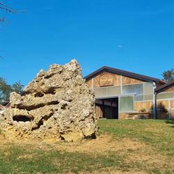 Circolo Ippico Cavalieri delle Zorle, Nervesa della Battaglia orari di apertura