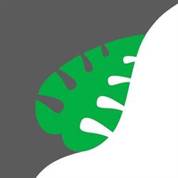 Green Project Srl, Paese orari di apertura