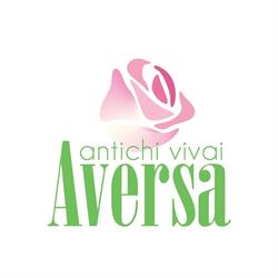 Antichi Vivai Aversa, Monopoli orari di apertura