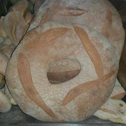 Panificio Sant' Andrea Milo, orari di apertura