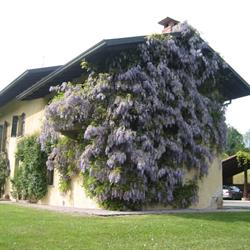 Antica Cascina del Medico, Muzzano orari di apertura
