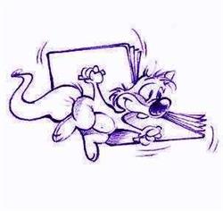Biblioteca Comunale di Nave, orari di apertura