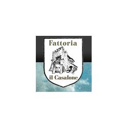 Fattoria il Casalone, Orbetello orari di apertura