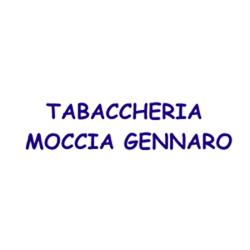 PLOOM STORE Tabaccheria Moccia Gennaro, Siano orari di apertura