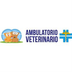 Ambulatorio Veterinario Fosforino - De Angelis, Bonifati orari di apertura