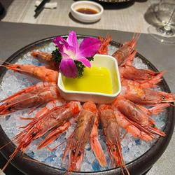 Enjoy Sushi Restaurant, Como orari di apertura