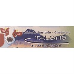Caseificio Talone, Casoli orari di apertura