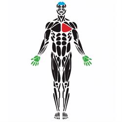Studio di Fisioterapia Cenzato - Strobe, Trissino orari di apertura