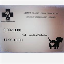 CVL Clinica Veterinaria, Venosa orari di apertura