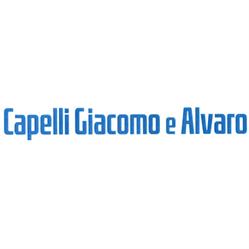 Autocarri Giacomo Alvaro di Capelli Alvaro, Mozzo orari di apertura