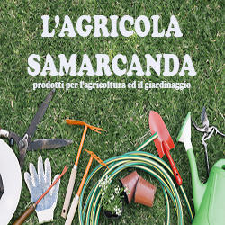 Samarcanda Ca. Mgd., Sonnino orari di apertura